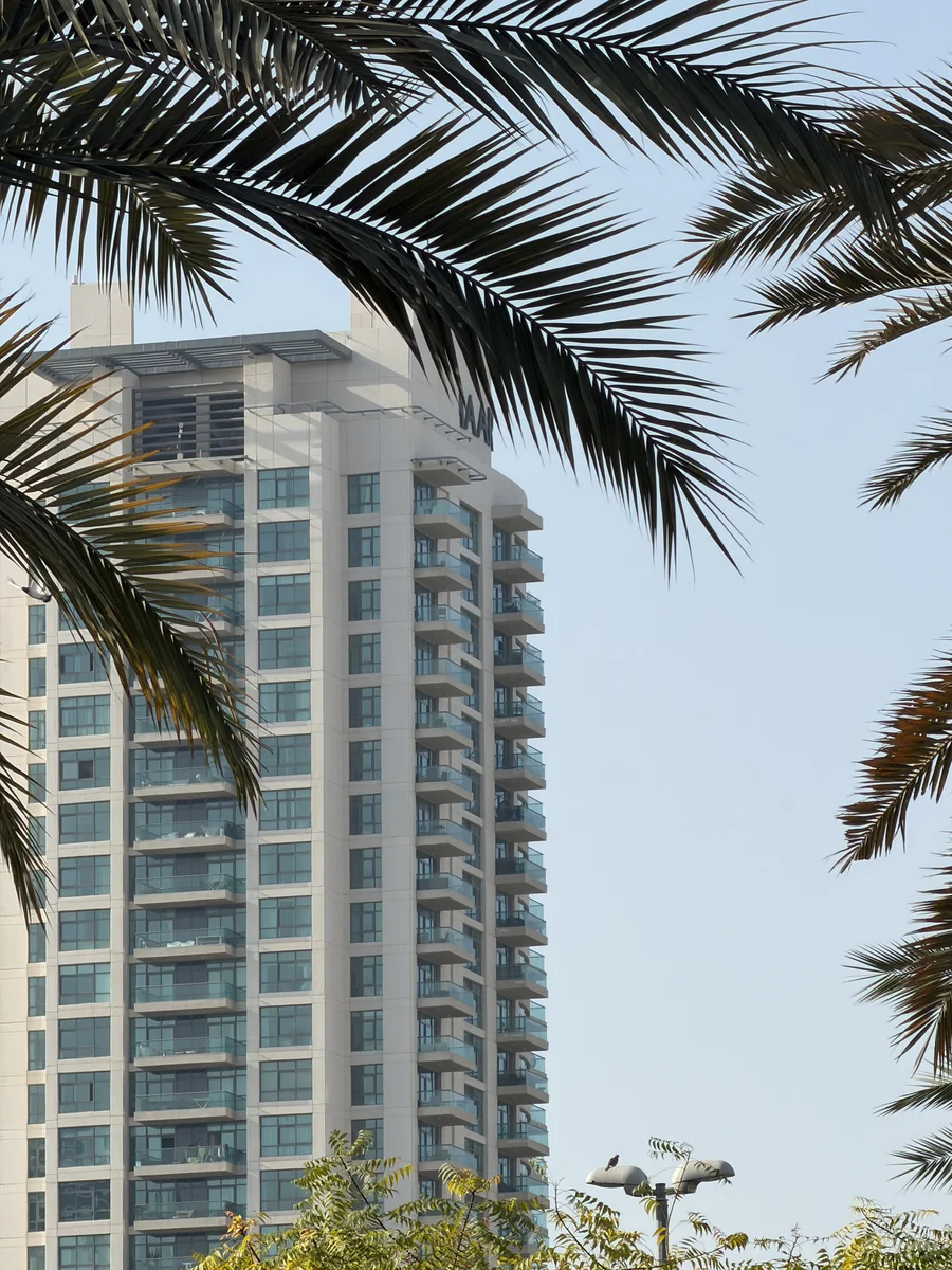 Golf Tower 2 in The Greens framed by palms