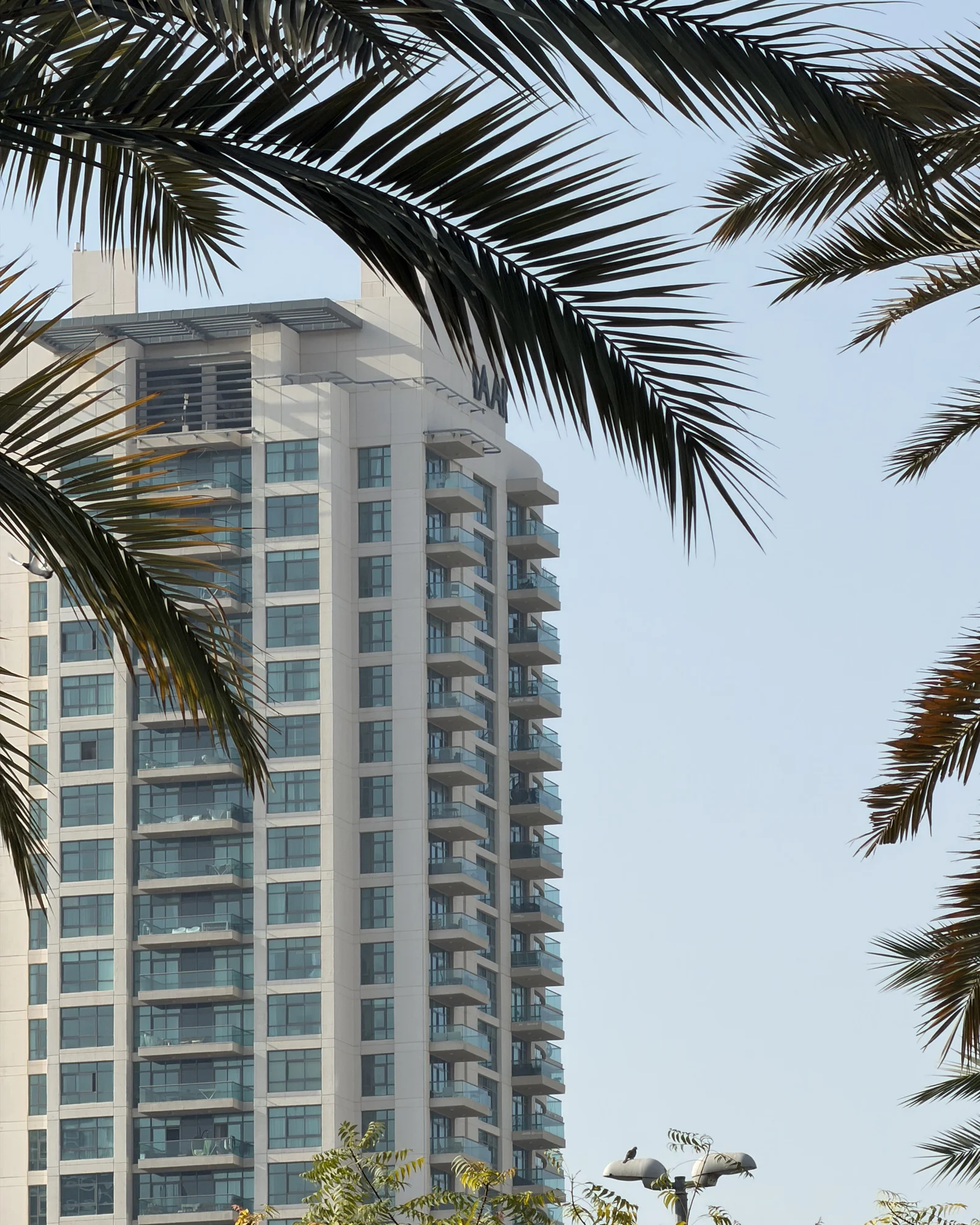Golf Tower 2 in The Greens framed by palms